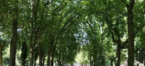 NANCY : Nature en Fête au Parc Sainte-Marie