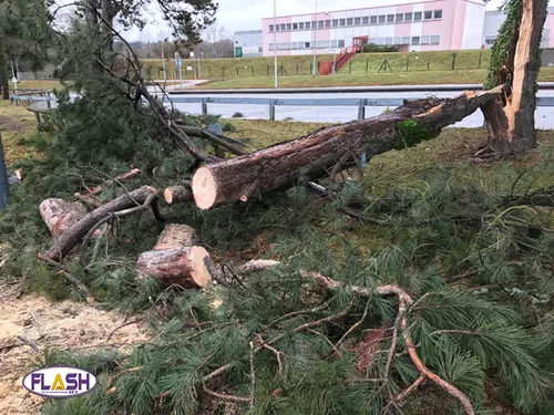 Après la tempête Leiv enHaute-Vienne : le bilan
