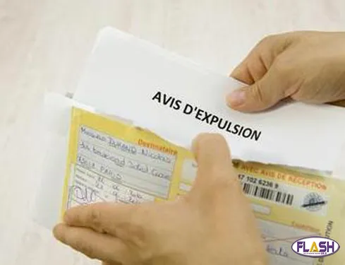 Expulsions locatives : Les réponses de l'ADIL 87