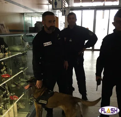 Le bilan après 23 mois d'état d'urgence dans le département de la...