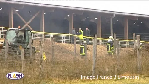 Incendie criminel à la ferme des 1000 Veaux