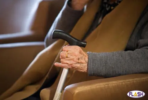 Un nouvel EHPAD en Haute-Vienne sur la commune de Boisseuil