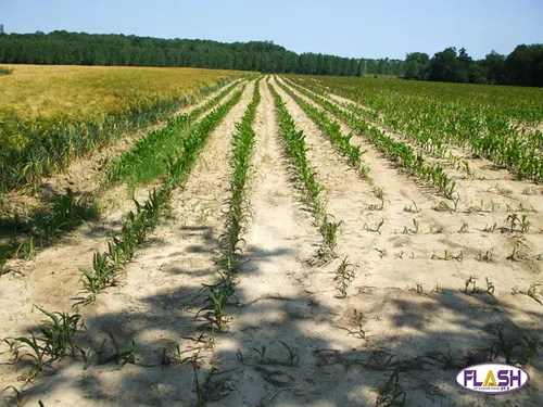Le département de la Haute-Vienne placé en vigilance sécheresse