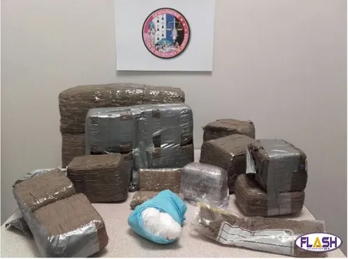 13,5 kilos de résine de cannabis saisis