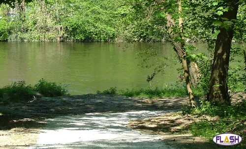 D'importants travaux forestiers entre Panazol et Saint-Just-le-Martel