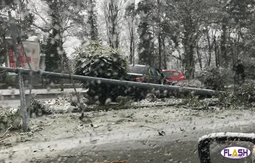 A cause de la neige : Glissage et Accident sur le Boulevard de la...