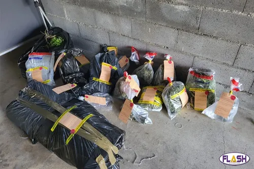 Creuse : 12 et 10 mois de prison avec sursis pour des consommateurs...