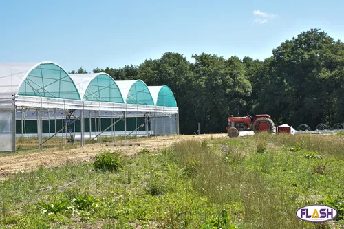 La première ferme maraichère de Haute-Vienne démarre ses productions