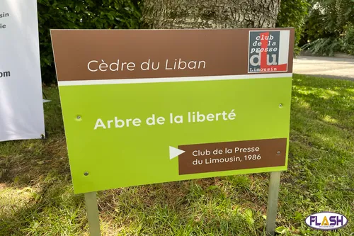 Le Club de la presse du Limousin autour de l’arbre de la liberté