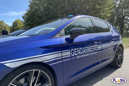 Une personne retrouvée grâce au flair de ‘Lou’ un chien de la...