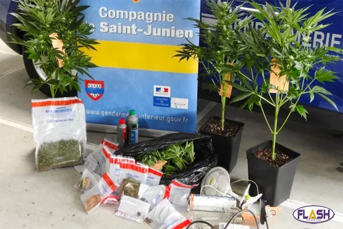 Les gendarmes de St Junien mettent fin à un trafic de produits...