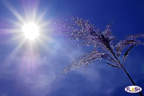 Le Limousin placé en vigilance orange canicule par Météo France