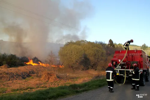 Série de Feux de broussailles
