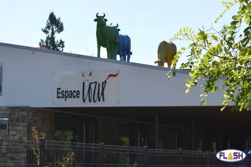 NON, la Maison Européenne du Dessin de Presse ne sera pas à Limoges !