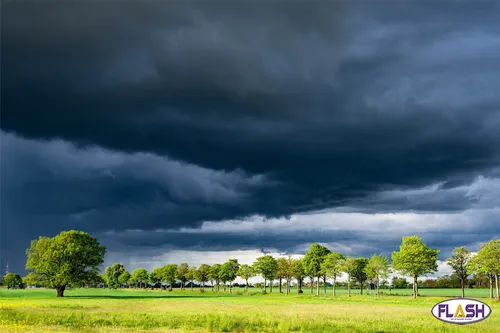 La Haute-Vienne placée en vigilance jaune orages et vent violent