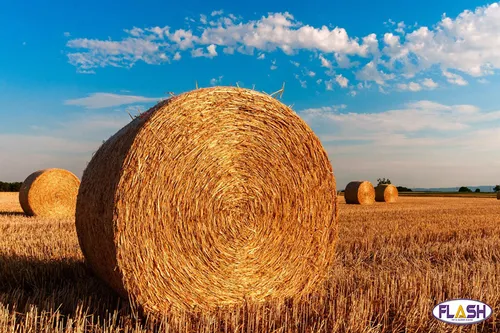 La préfète du département de la Creuse interdit le broyage des pailles