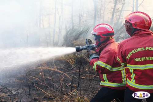 Feux de forêt : des moyens supplémentaires pour les pompiers de...
