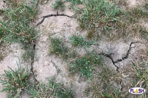Une grande partie de la Haute-Vienne en alerte sécheresse