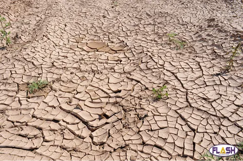 La Haute-Vienne placée en crise sécheresse