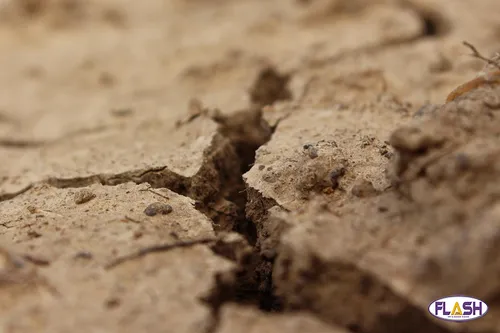 La Haute-Vienne en état de vigilance sécheresse