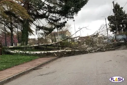 Le Limousin devrait être touché par la tempête Ciaran