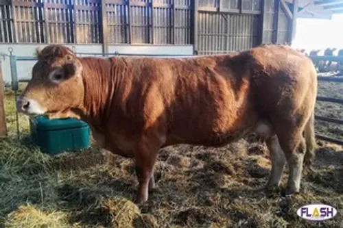 Creuse : Pas de stand au Salon de l'Agriculture 2022