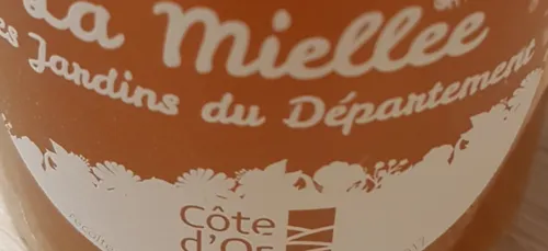 Les abeilles font elles un meilleur miel en ville ?