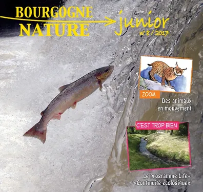 Parution de l'outil pédagogique Bourgogne-Nature Junior n°8