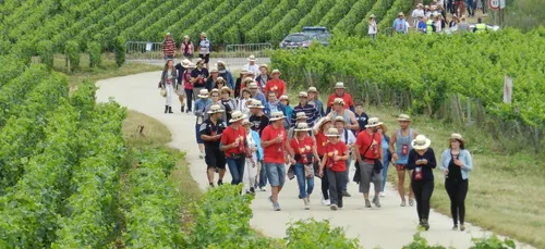 La 1ère balade historique de France ce dimanche à Ladoix-Serrigny