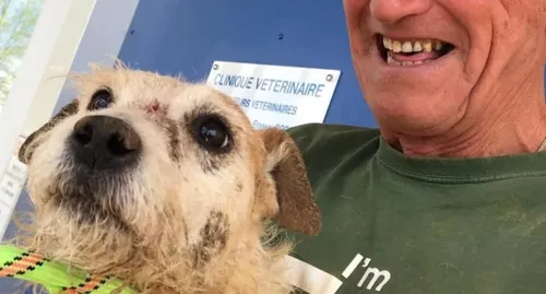 Le petit chien Billy a été libéré