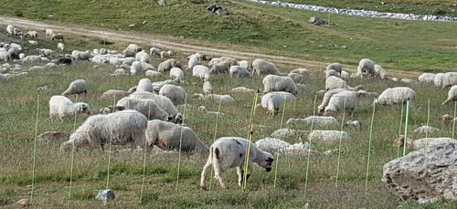 Célébration de l’Aïd-el-Kébir en Bourgogne-Franche-Comté