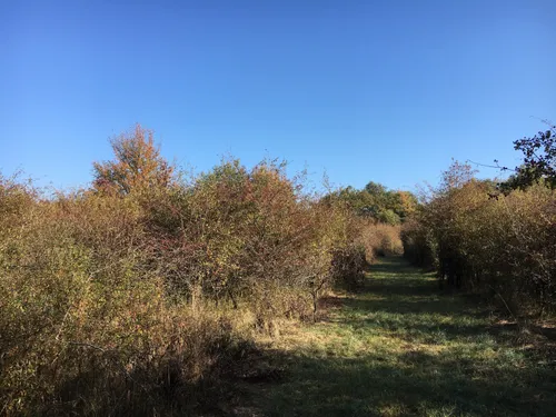 Haute-Marne : ils disent non au parc photovoltaïque de Saints-Geosmes