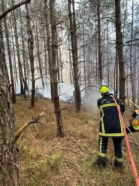 Le feu est fixé entre Mortagne et Brouvelieures
