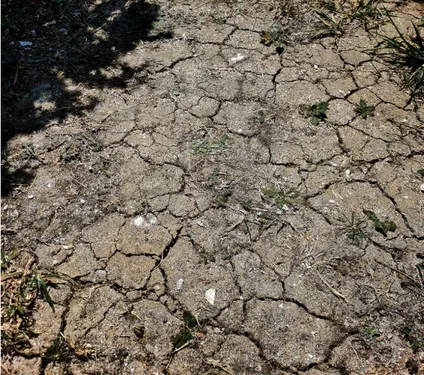 54 : L'alerte sécheresse déclarée sur toute la Meurthe-et-Moselle