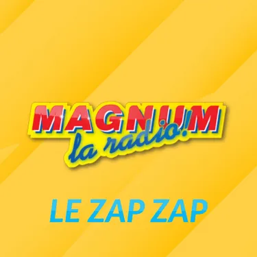LE ZAP ZAP DU 24/05 : Vous savez, je ne crois pas qu'il y ait de...