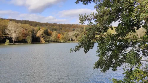 Bulgnéville : un corps repêché dans l'étang des Récollets
