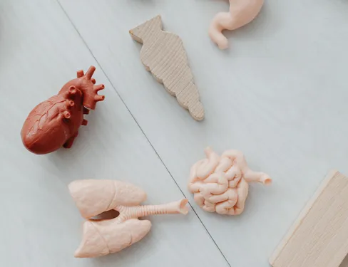 Journée nationale du don d'organes : Offroicourt, premier village...