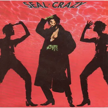 UN JOUR UNE CHANSON - "CRAZY" DE SEAL