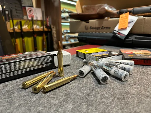 Le gouvernement autorise la vente de munitions de chasse dans les...