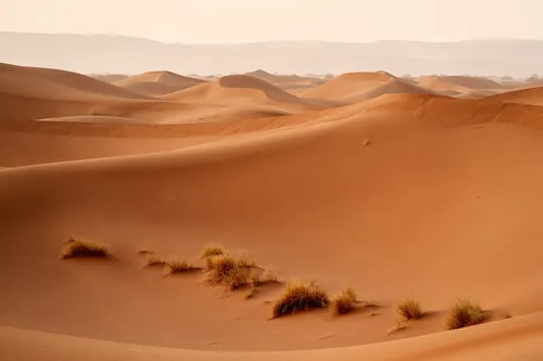 Le sable du Sahara s'invite dans le ciel du Grand Est