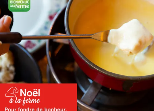 Vosges : Profitez de Noël à la ferme jusqu'au 31 décembre