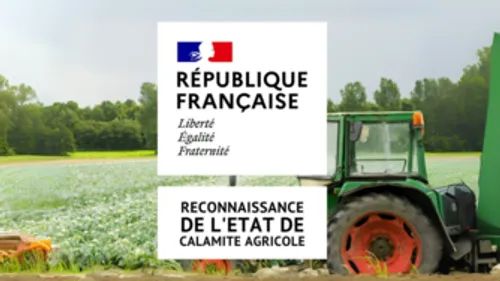 Vosges : le caractère de calamité agricole reconnu pour 25 communes