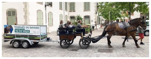 54 : Bayard, le cheval qui collecte du verre à Lunéville