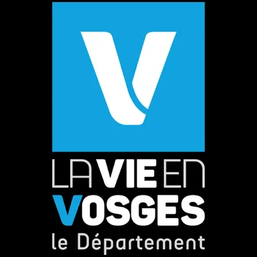 LES ACTEURS DE L'ÉCONOMIE - CONSEIL DÉPARTEMENTAL 88