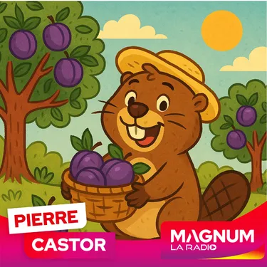 Pierre CASTOR 25.08.2025 : Pourquoi dit-on "travailler pour des...