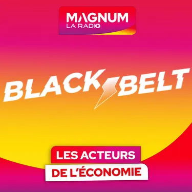 LES ACTEURS DE L'ÉCONOMIE - BLACKBELT