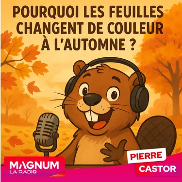 Pierre CASTOR 30.10.2025 : Pourquoi les feuilles changent de...