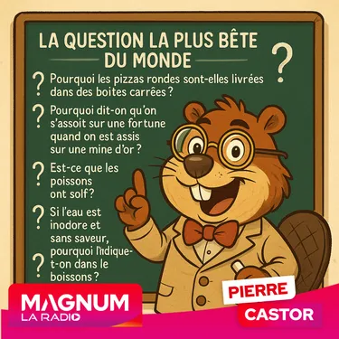 Pierre CASTOR 20.10.2025 : Quelle est la question la plus bête du...