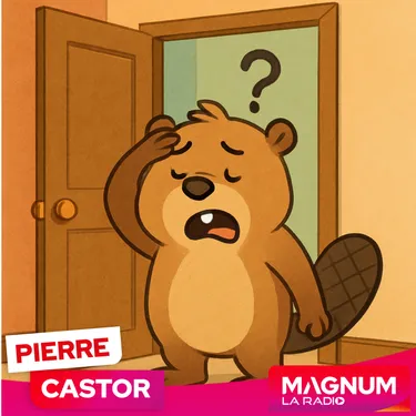 Pierre CASTOR 20.11.2025 : Pourquoi on oublie ce qu’on voulait dire...