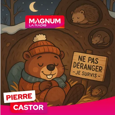 Pierre CASTOR 18.11.2025 : Pourquoi certains animaux hibernent ?